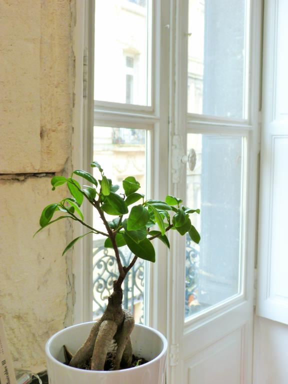 L'Appart D'Oli et Tiane Bordeaux Rom bilde